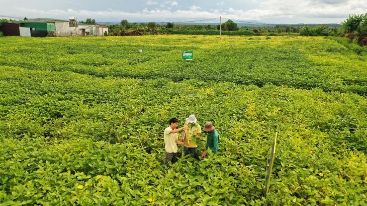 Vinasoy tiên phong quản lý tài nguyên và phát triển bền vững