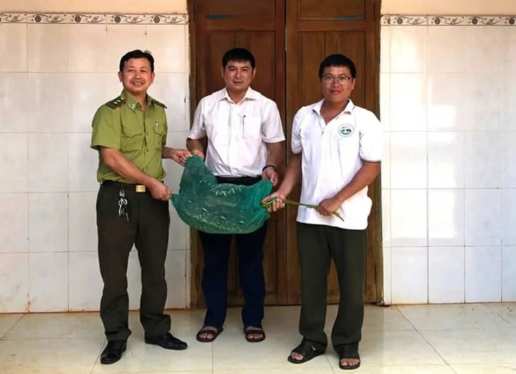 Con trăn 21kg vào nhà bắt gà, dân bắt giao lực lượng bảo vệ rừng