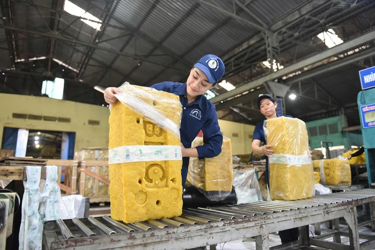 VRG chia cổ tức khủng 1.600 tỉ đồng, tăng tốc chuyển đổi xanh
