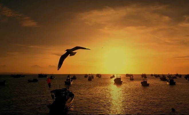 Bond mặc áo dài, chơi bản nhạc kinh điển 'Victory' giữa Hạ Long