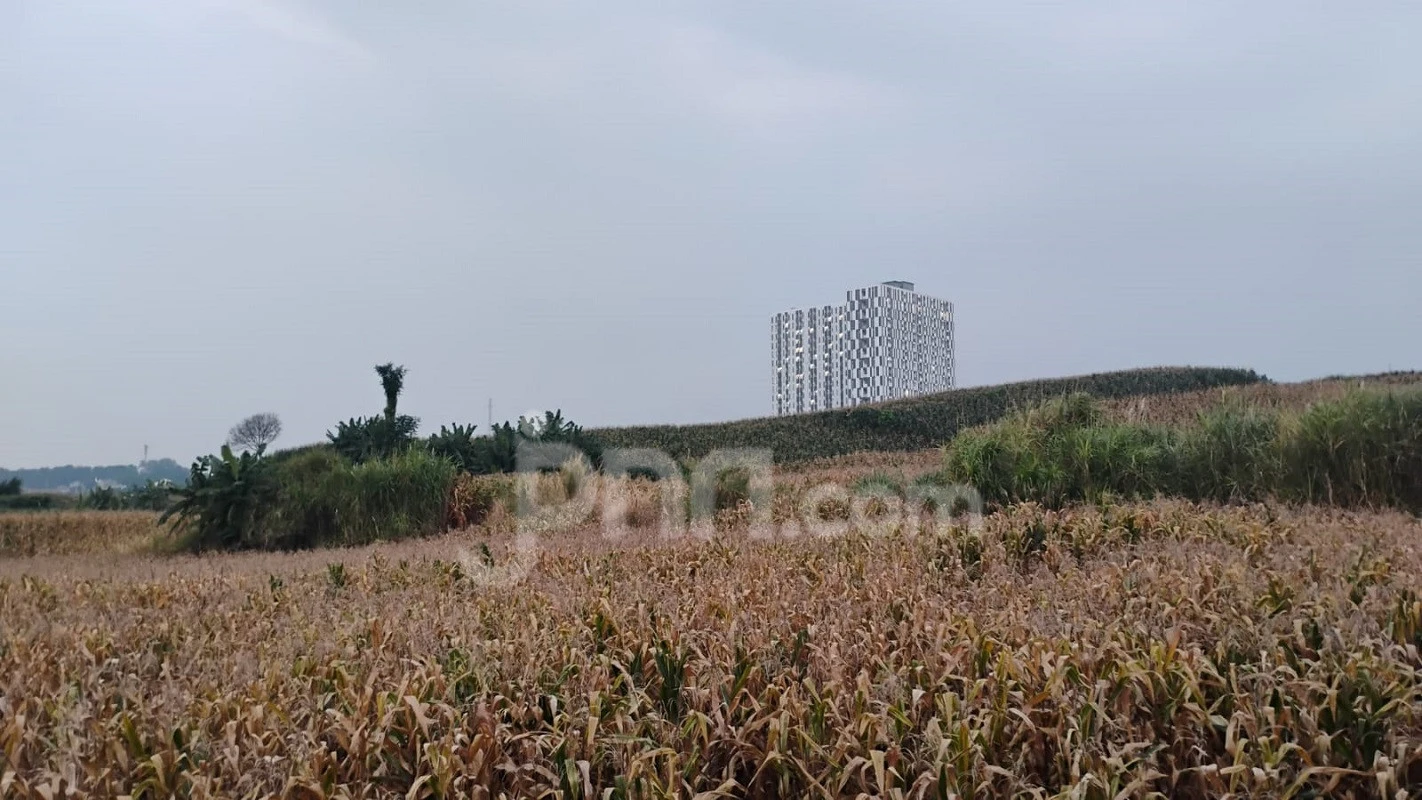 Kemarau di Semarang Diprediksi Lebih Menyengat, Ini Penjelasan BMKG