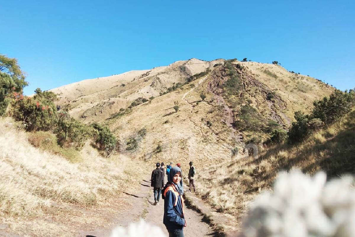 Antusias Naik Gunung Melonjak, Pemprov Jateng Gelar Pelatihan Pemandu Pendaki