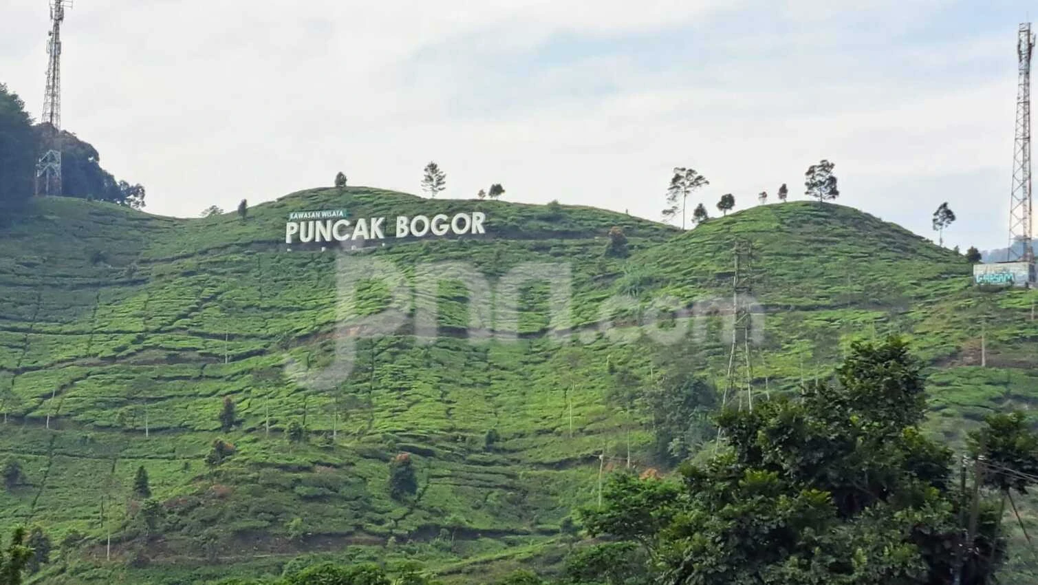 Jadi Wajah Wisata Kabupaten Bogor, Kawasan Puncak Terus Disolek