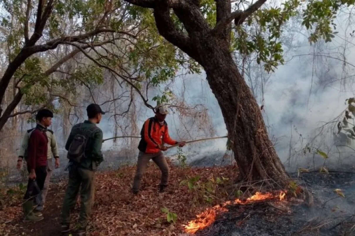 Taman Nasional Baluran Kebakaran, Lahan Hangus Capai 2,18 Hektare