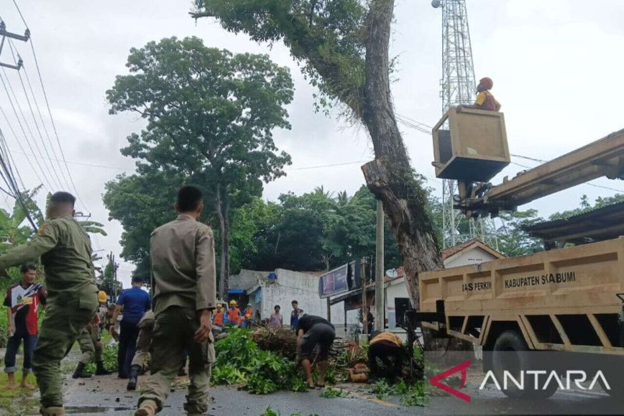 Disperkim Kabupaten Sukabumi Lakukan Pemangkasan Antisipasi Pohon Tumbang Saat Cuaca Ekstrem