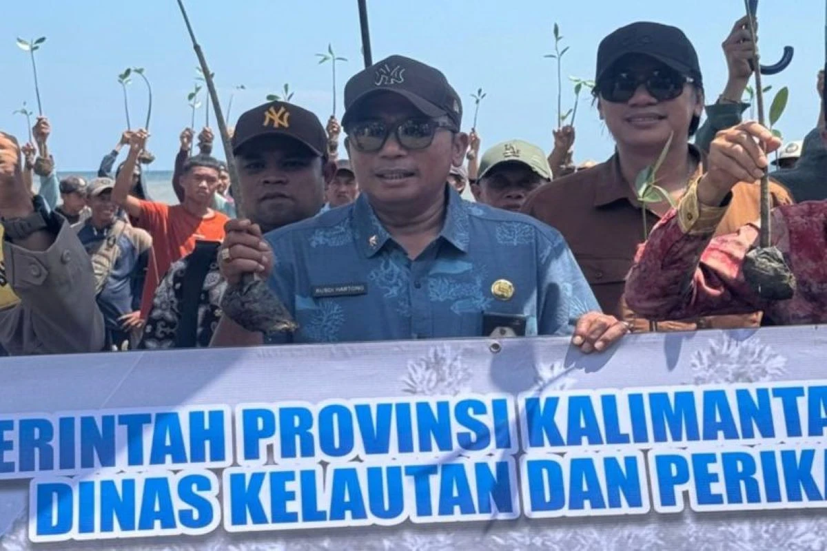 Pemprov Kalsel Merehabilitasi 8.000 Hektare Mangrove