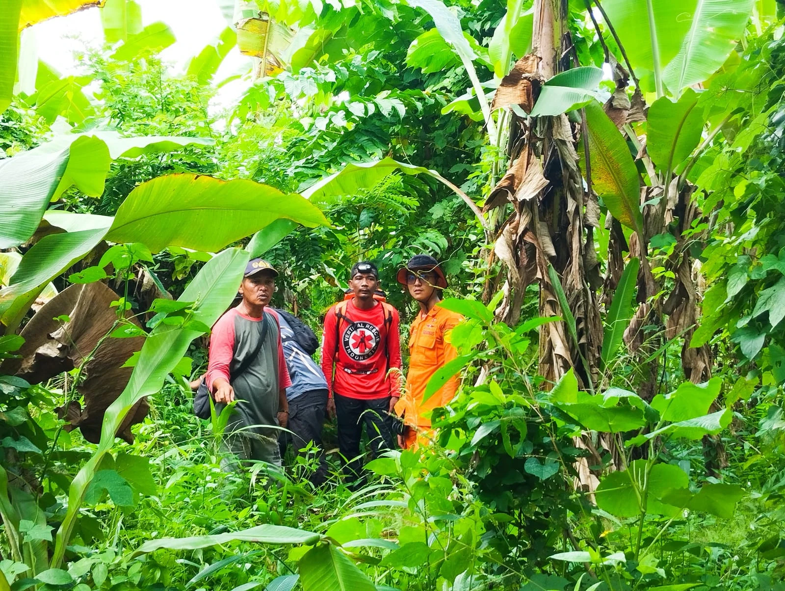 Niat Mencari Melinjo, Kakek Asal Serang Hilang di Hutan