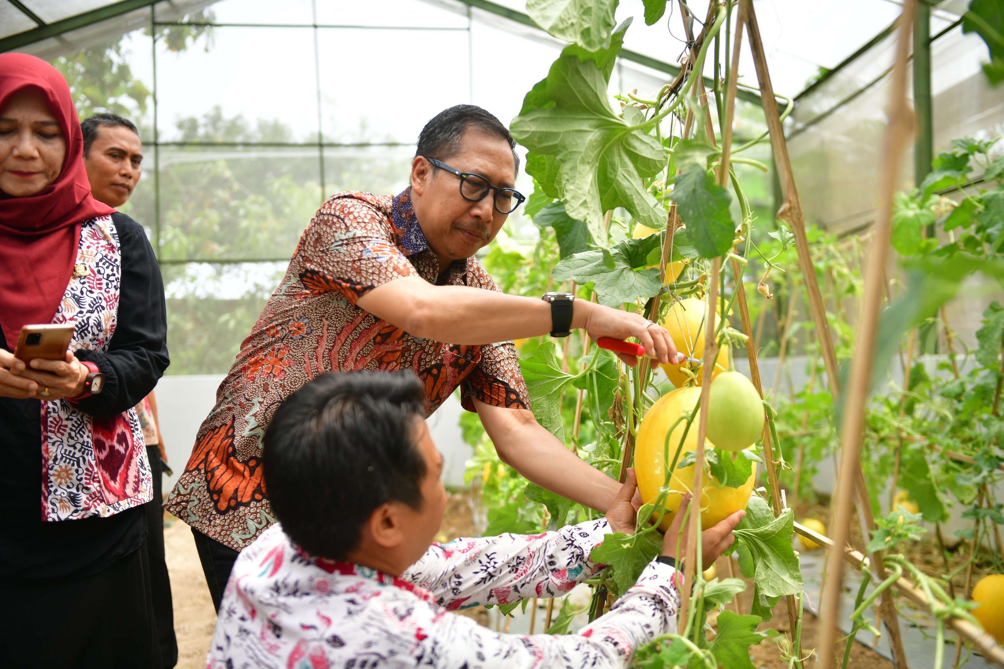 Pemkab Indramayu Siapkan Lahan 10 Ribu Hektare untuk Mengembangkan Pertanian Modern