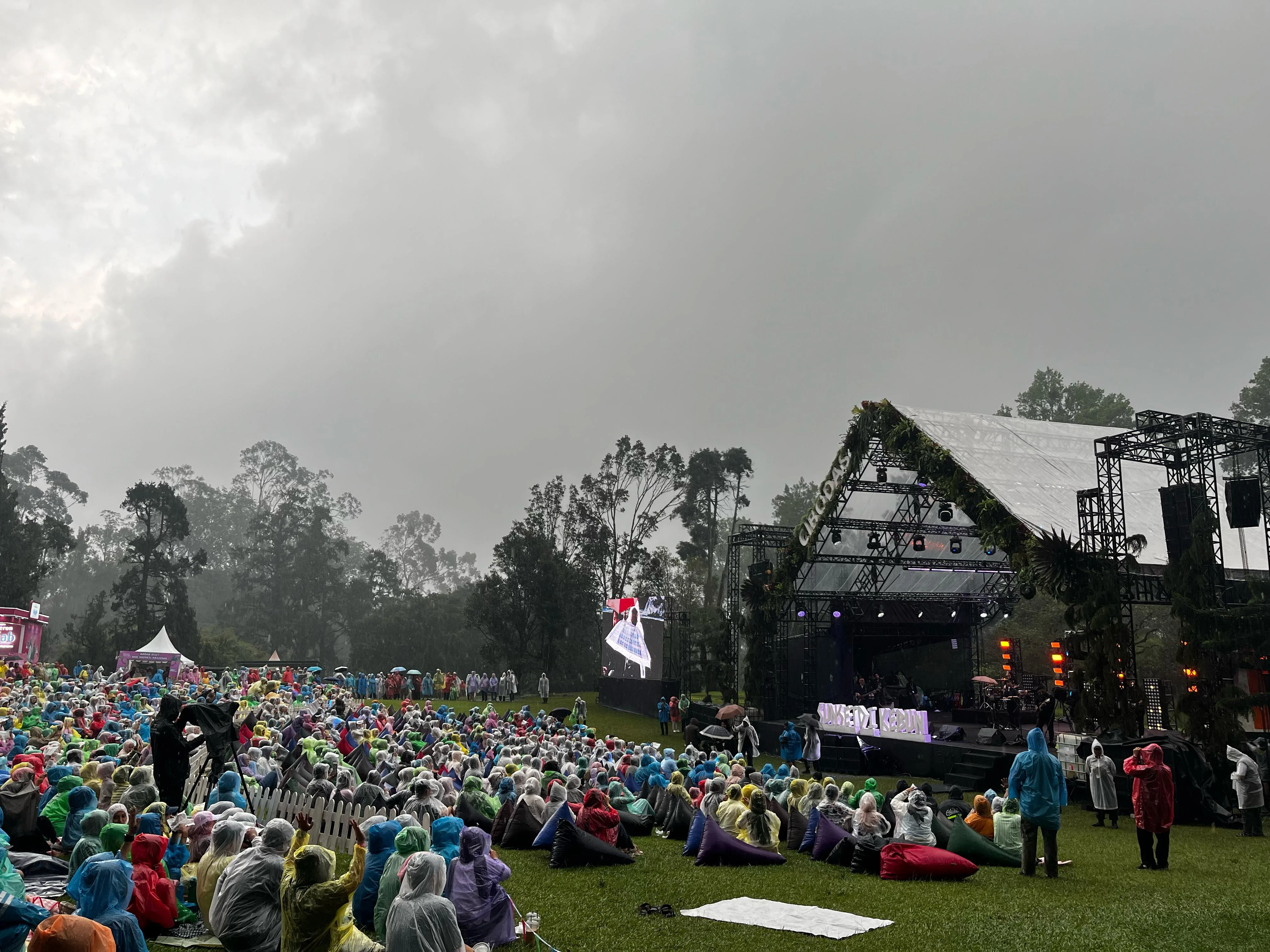 Jewell Orchid Jadi Plant Heroes di Sunset Kebun Raya Cibodas