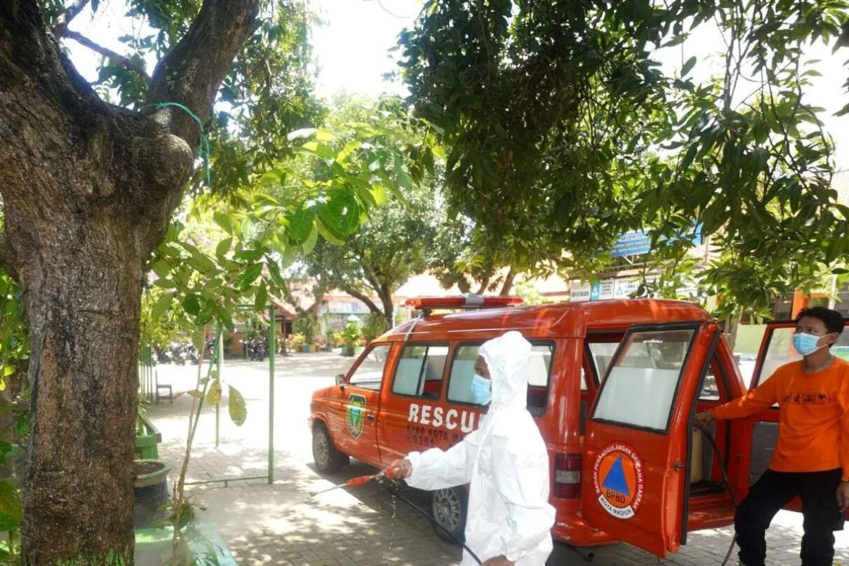 Serangan Ulat Bulu Ganggu SDN 2 Klegen Madiun, Siswa Gatal-Gatal Massal