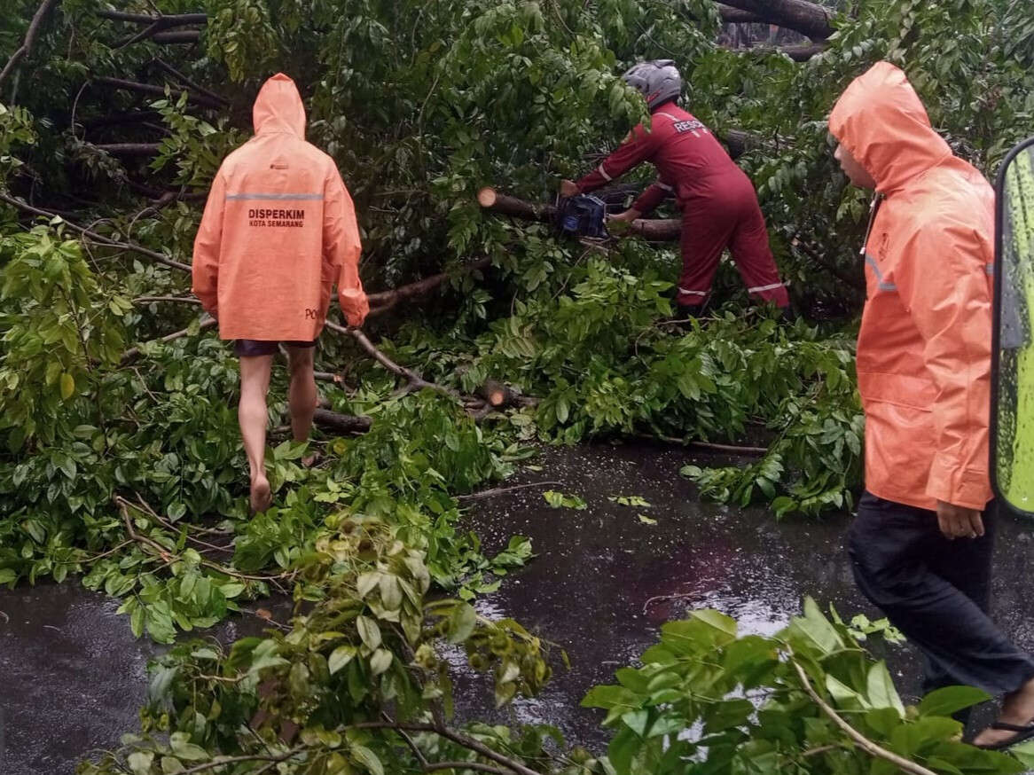 Cuaca Ekstrem: Banjir, Longsor hingga Pohon Tumbang Menerjang Semarang