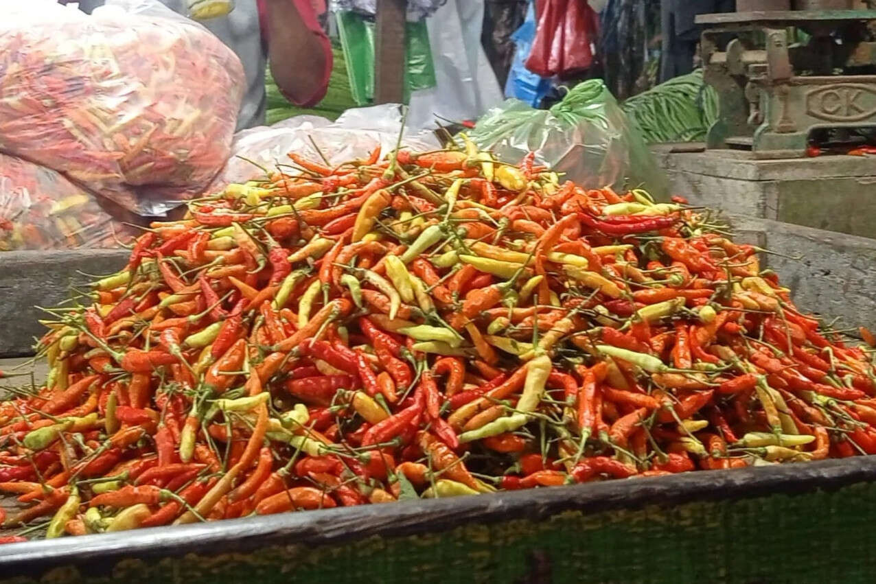 Harga Cabai Rawit di Surabaya Makin Pedas di Musim Hujan, Rp110-120 Ribu Per Kg