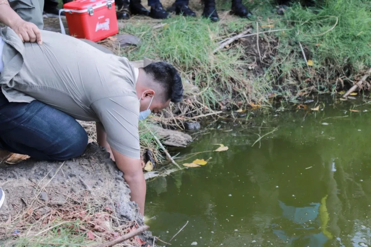Lahan Sawah di Jember Diduga Tercemar Limbah, Pemkab Lakukan Uji Sampel