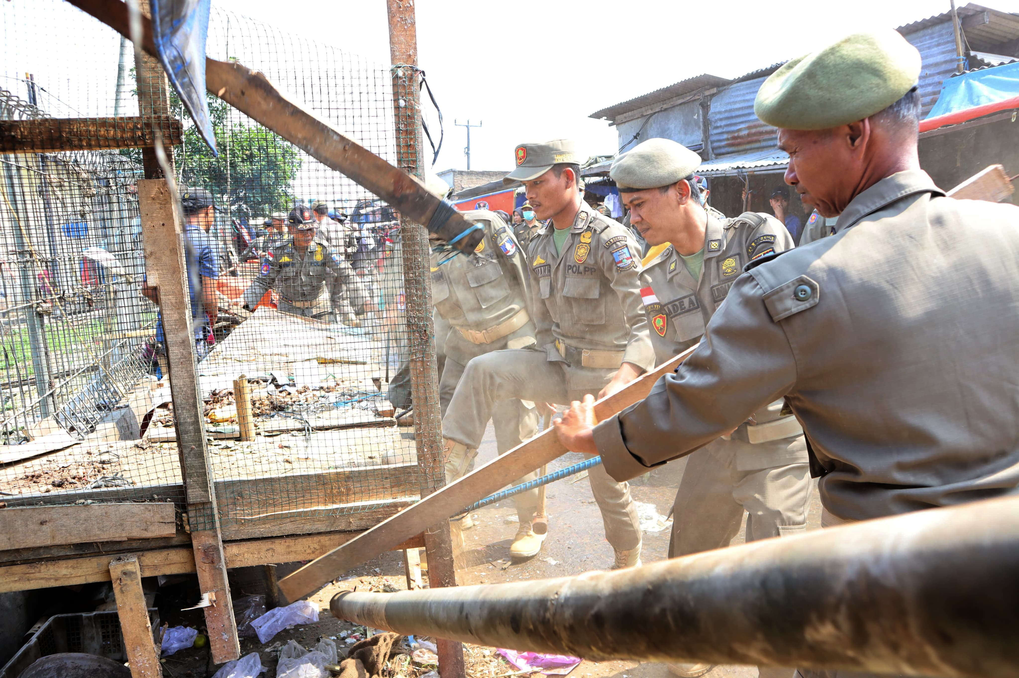 Satpol PP Kabupaten Serang Bongkar Puluhan Lapak Liar Melanggar Aturan