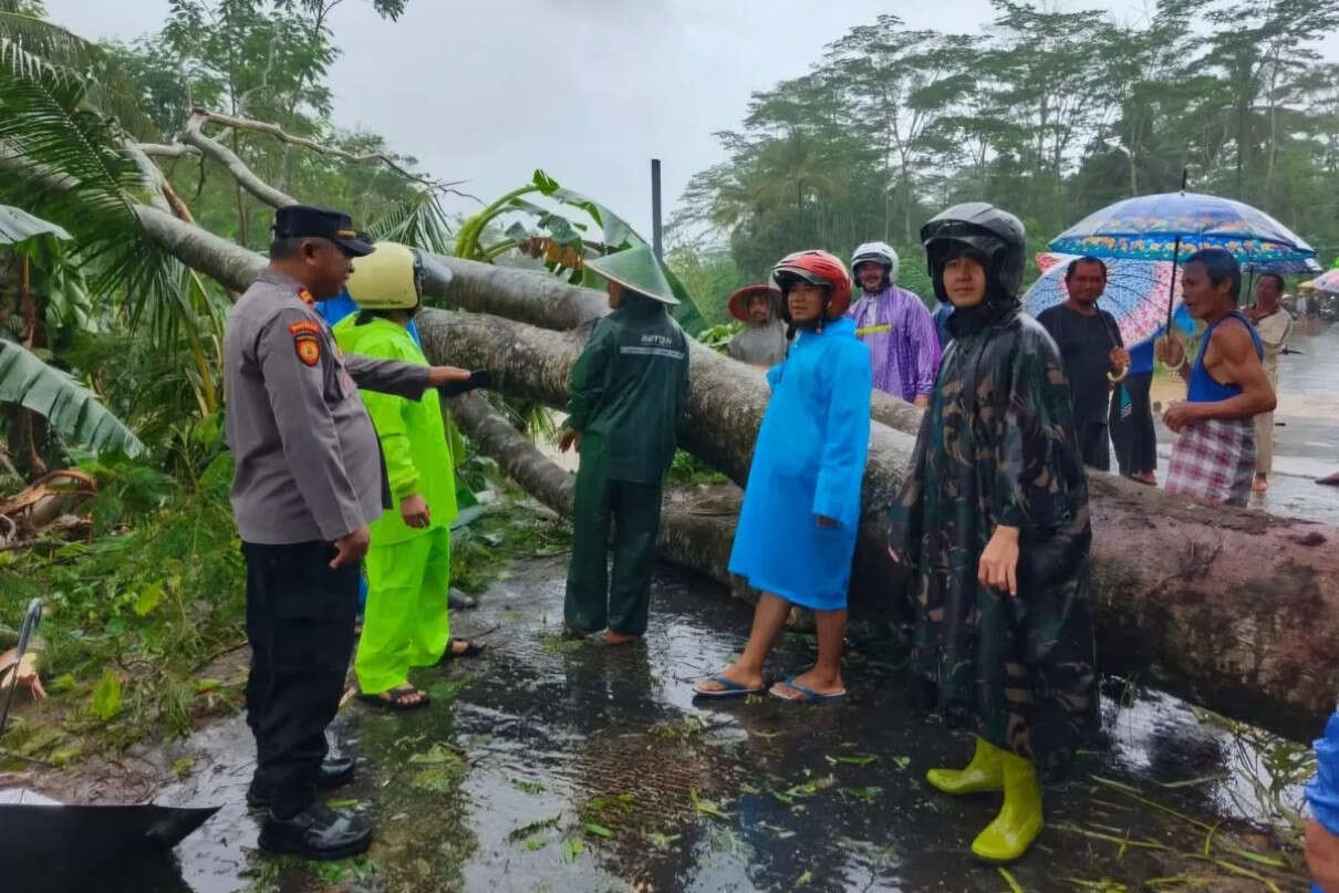 Sejumlah Wilayah di Trenggalek Dilanda Longsor & Pohon Tumbang