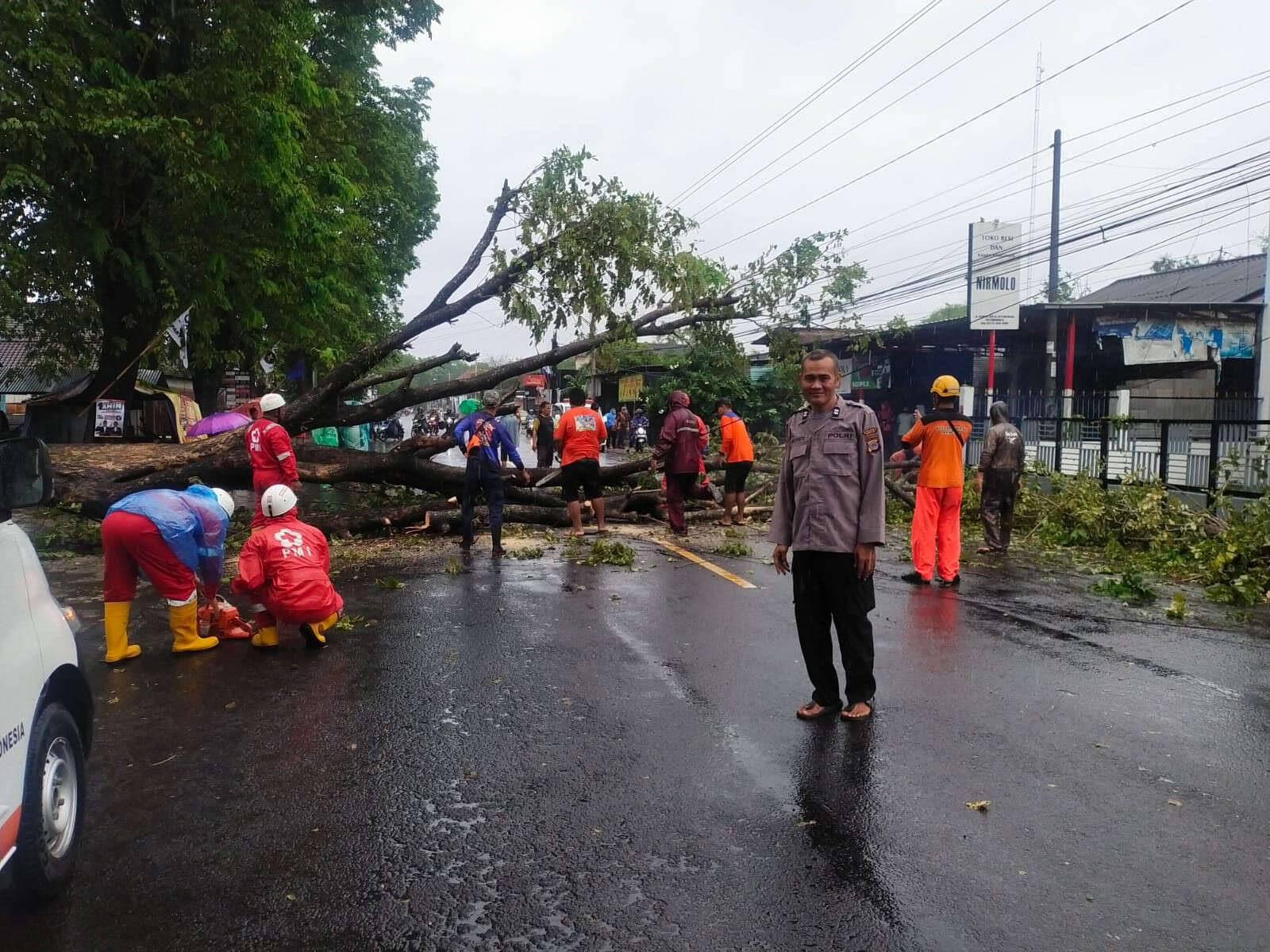 6 Pohon di Bantul Tumbang Karena Cuaca Ekstrem