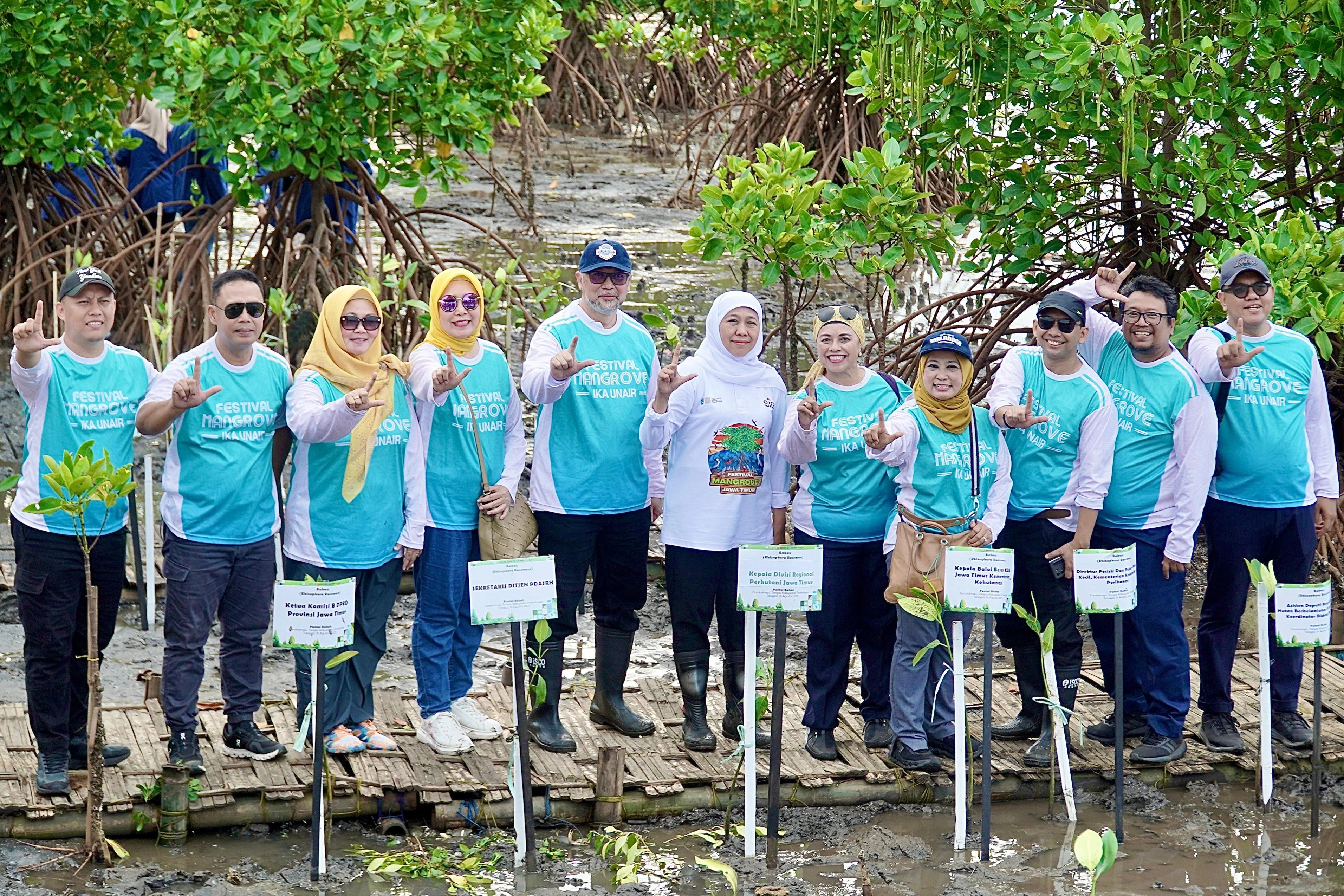Festival Mangrove VII: IKA Unair Tanam Ribuan Pohon & Layanan Kesehatan Gratis
