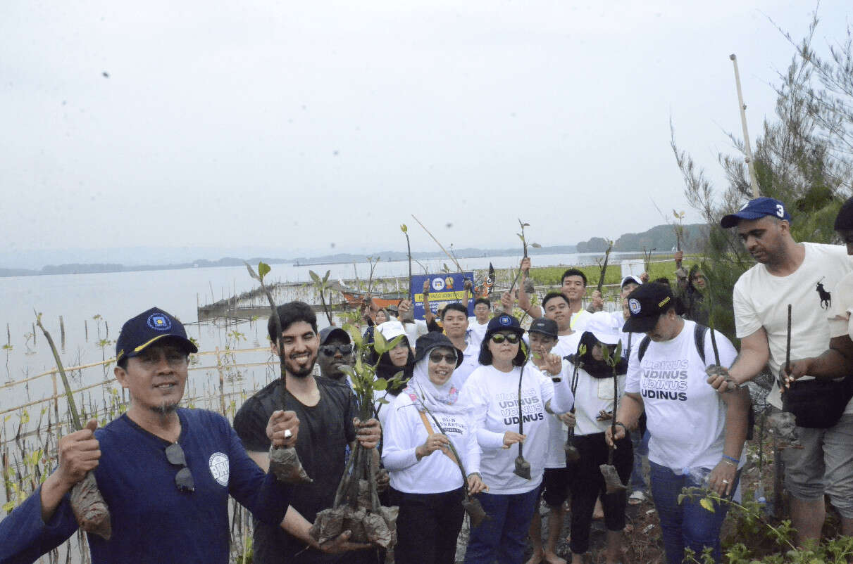 Cegah Abrasi di Semarang, Udinus Telah Menanam 35.000 Mangrove Selama 9 Tahun