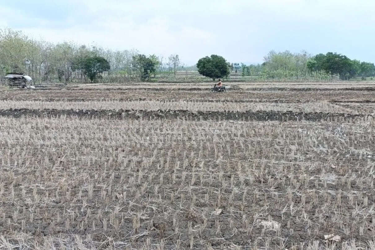 57 Desa di Bojonegoro Masih Alami Kekeringan Ekstrem