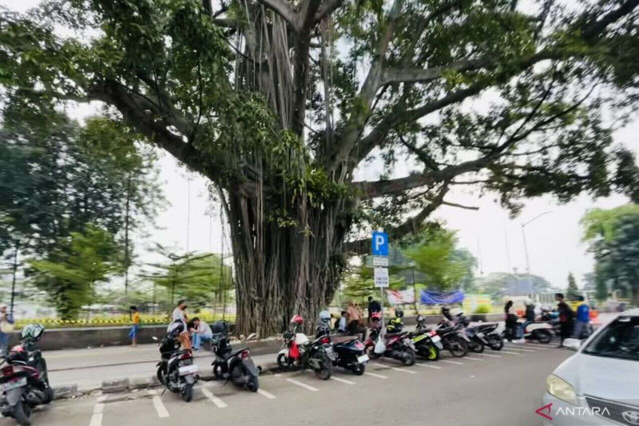 Program Night Market di Alun-Alun Kota Bogor Picu Sederet Permasalahan Baru