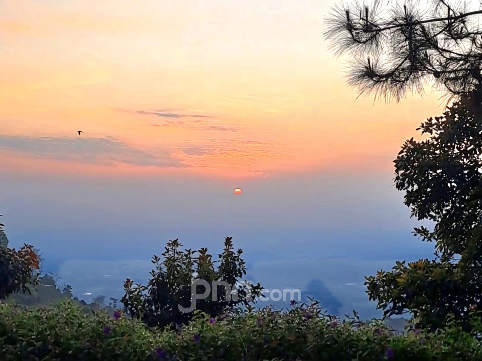Fenomena Bediding Melanda Jateng, BMKG: Tanda Puncak Kemarau Telah Tiba