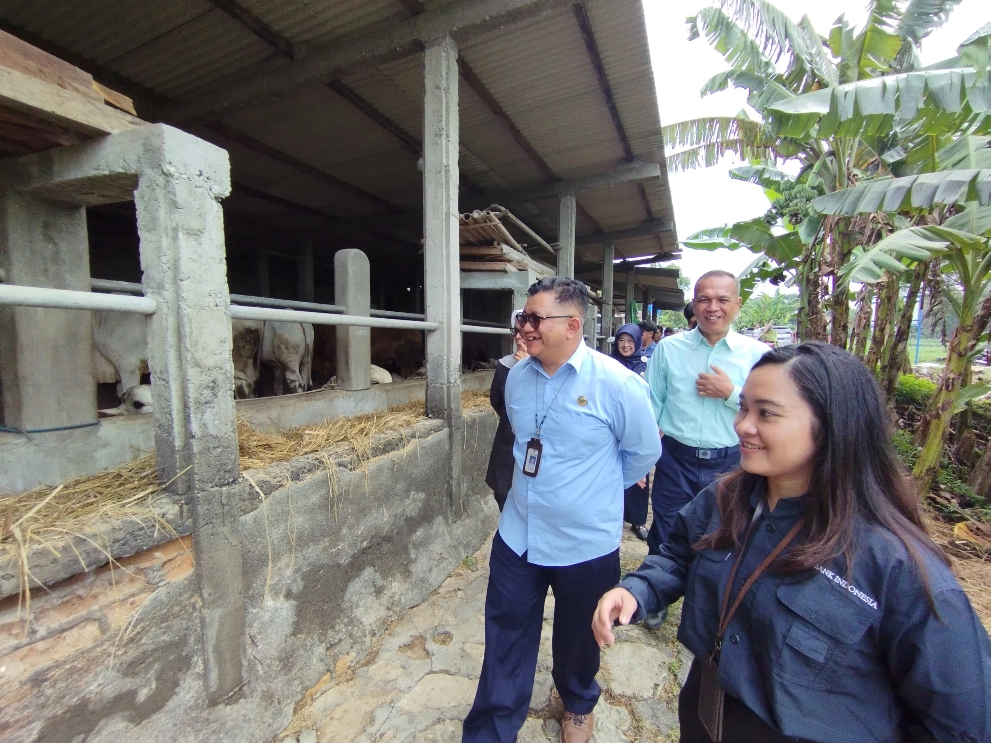 Jelang Iduladha, Harga Sapi di Kulon Progo Mulai Naik