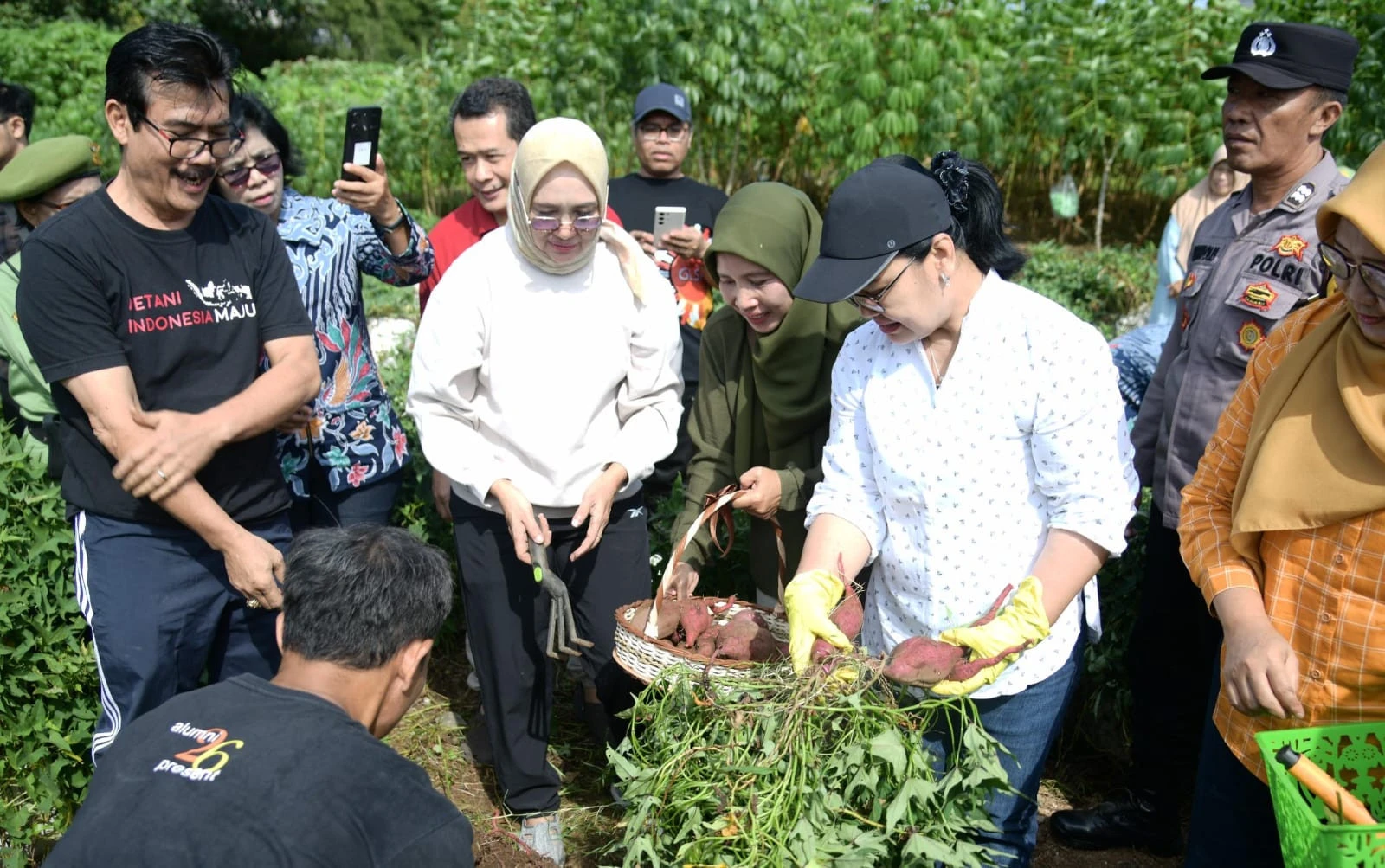 Singkong & Ubi Jadi Andalan Baru Pemkot Semarang untuk Mengganti Beras