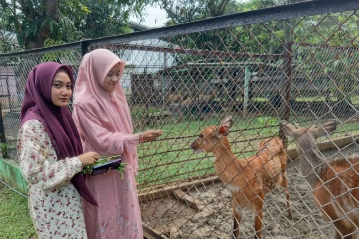 Semarang Zoo Kedatangan Satwa Baru, Apa Saja?