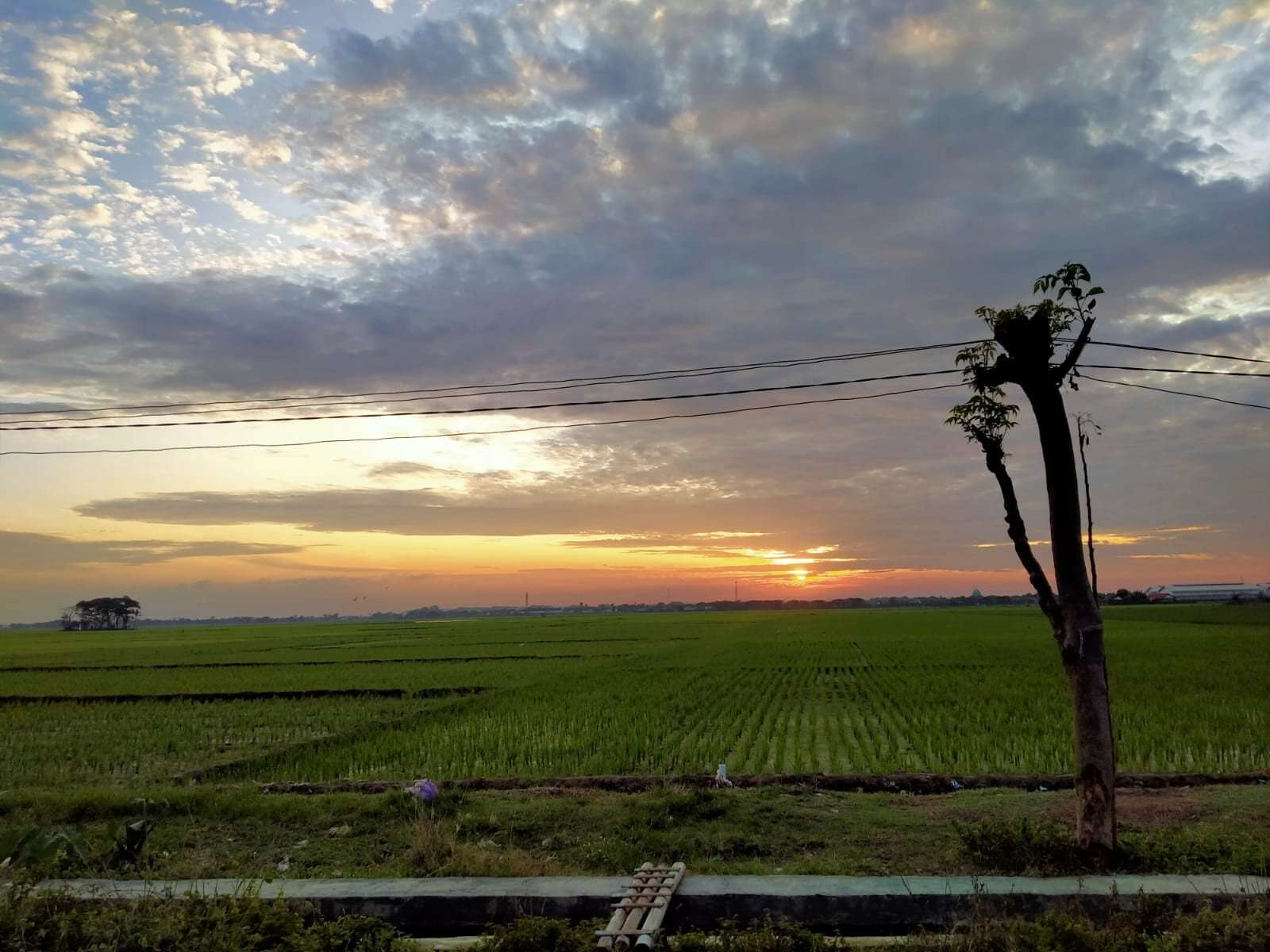 Cuaca Jawa Tengah, Selasa (17/9), Adakah Daerah yang Diguyur Hujan?