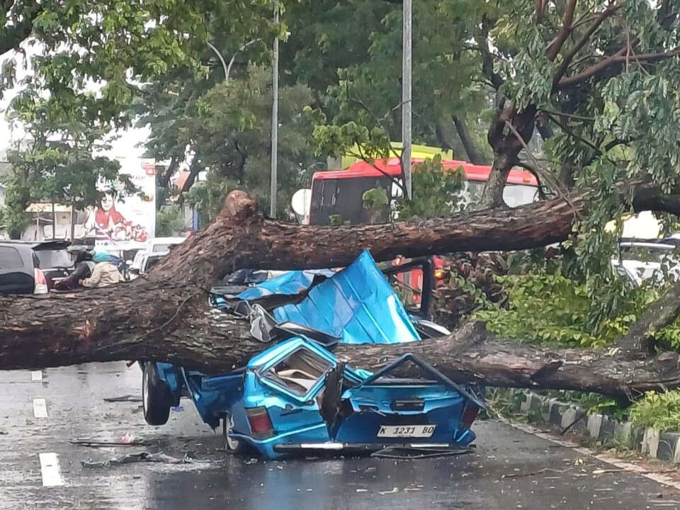 Bruk! Mobil Tertimpa Pohon di Semarang, 2 Korban Masuk RS