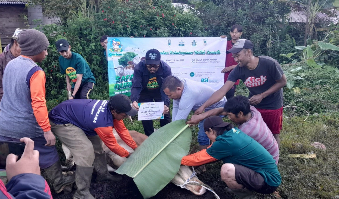 Lazismu Jateng Catat Rekor Baru: Himpun Rp 68,9 Miliar dari Program Qurban FreshMeat