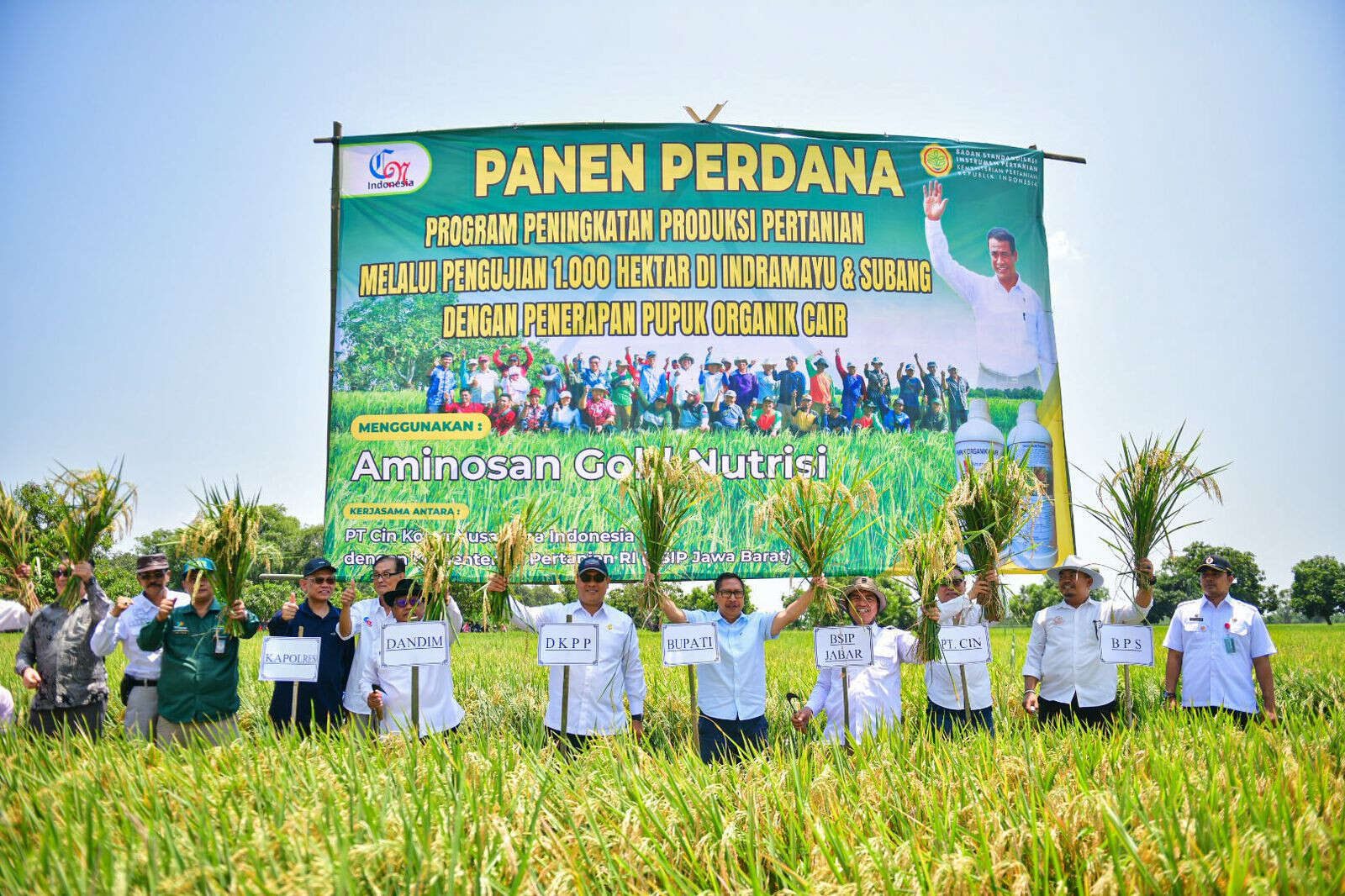 Panen Raya Padi Organik di Indramayu, Produksi Meningkat 50 Persen