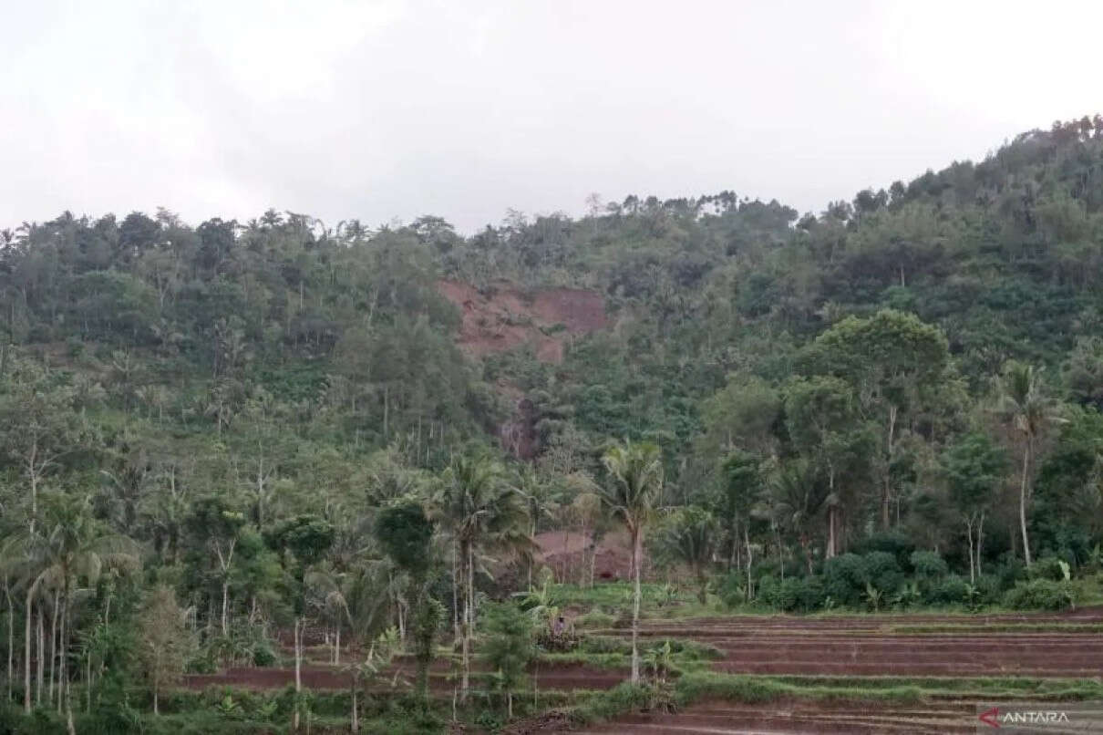 Pemkab Trenggalek Galakkan Penanaman Pohon di Pegunungan Cegah Tanah Gerak