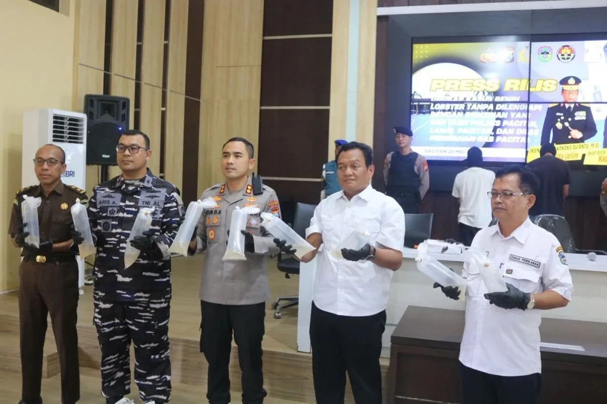 Sergap Mobil Boks Styrofoam, Polres Pacitan Gagalkan Penyelundupan 27.650 Benih Lobster