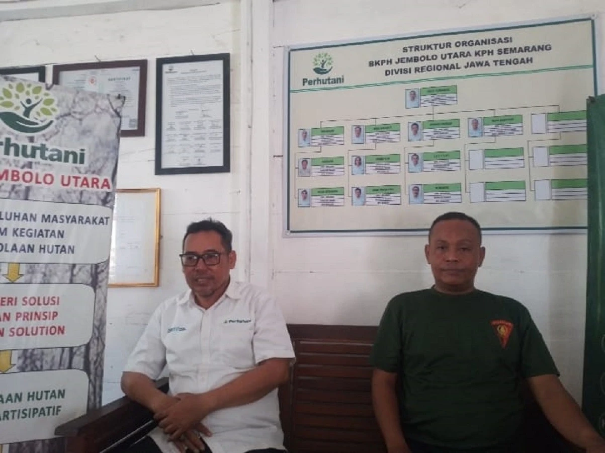 Perhutani Klarifikasi Isu Penjualan Kayu Ilegal yang Beredar di Media Sosial