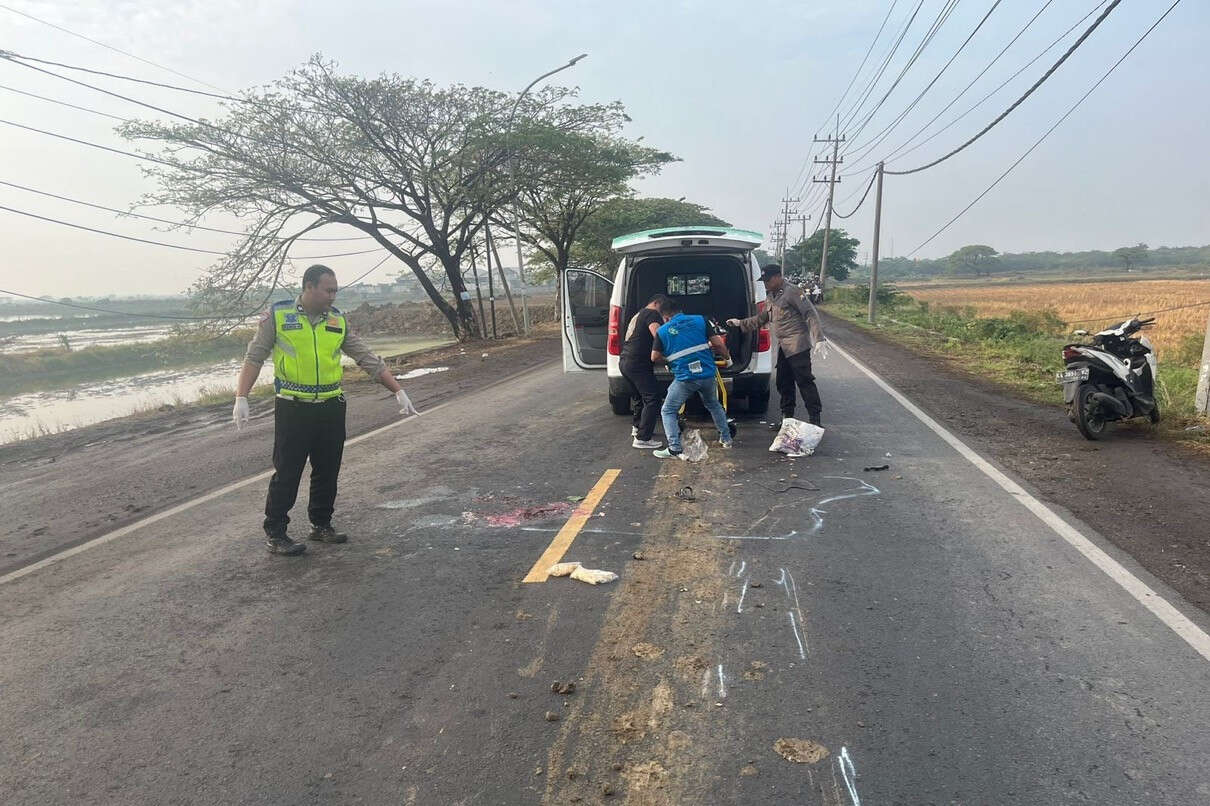 Tak Kenakan Helm, Perempuan di Gresik Tewas Tertabrak Truk, Begini Kronologinya