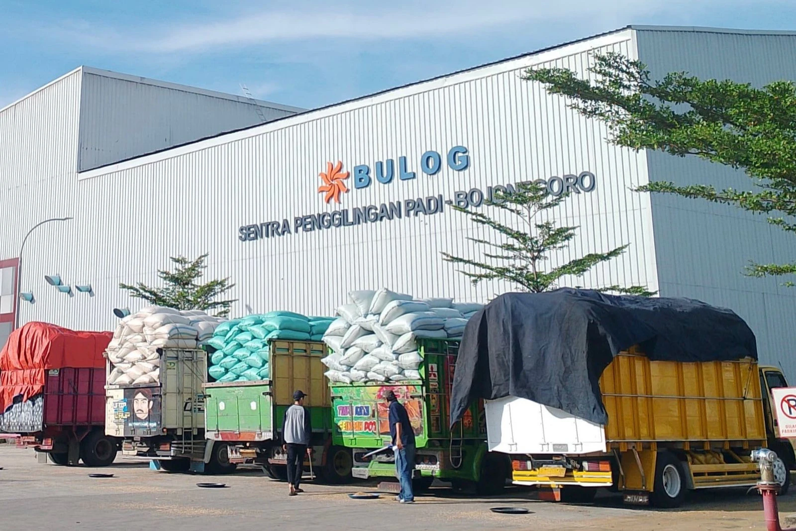 Harga Beli Gabah Petani Rp6.500 per Kilogram, Bulog Jatim Perkuat Cadangan Pangan