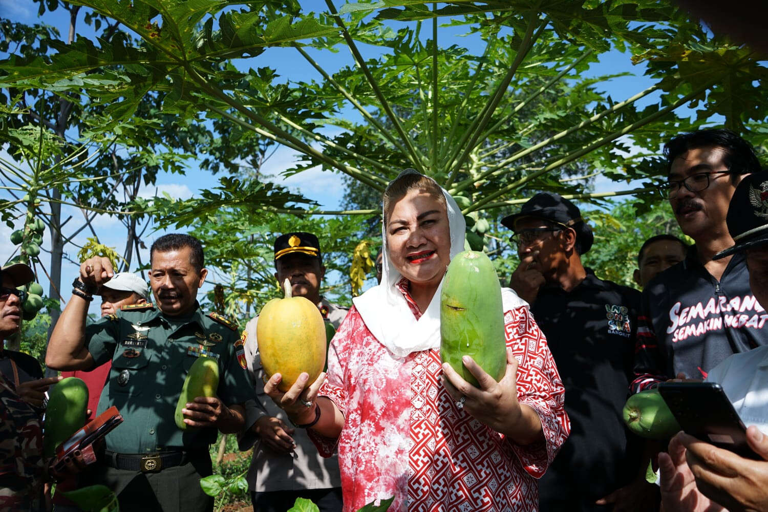 Mbak Ita Panen Pepaya California, Dorong Sistem Pertanian Terpadu di Kota Semarang