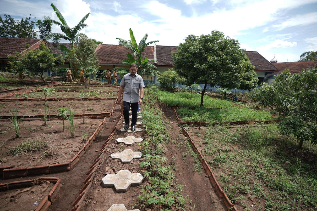 SMAN 1 Tanggul Sulap Lahan Kosong Jadi Kebun Sehat, Bisa Cetak Wirausaha Muda