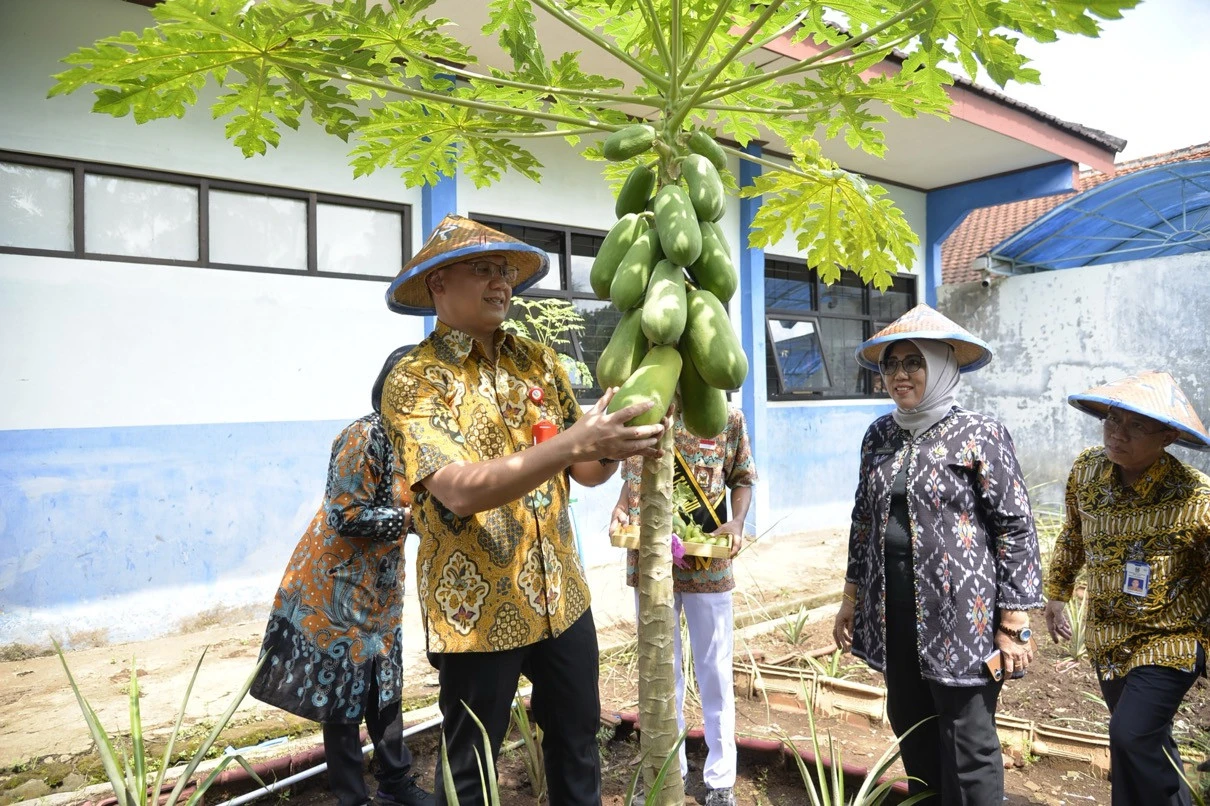 SMAN 1 Tanggul Jember Sulap Lahan Kosong Jadi Kebun Produktif lewat Program SFC