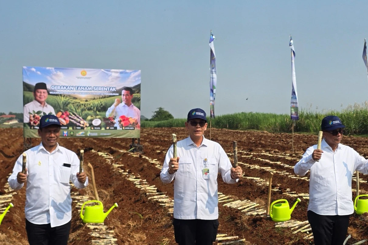 Dukung Swasembada Gula Nasional, PT SGN Ambil Peran dalam Gerakan Tanam Serentak