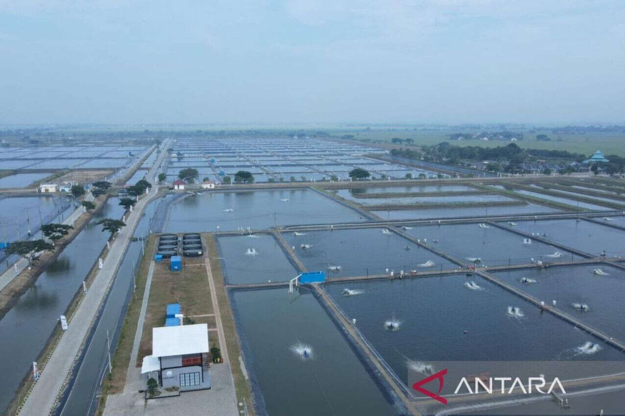 Selain Meningkatkan Perekonomian, Revitalisasi Tambak di Subang Mampu Meminimalisir Banjir Rob