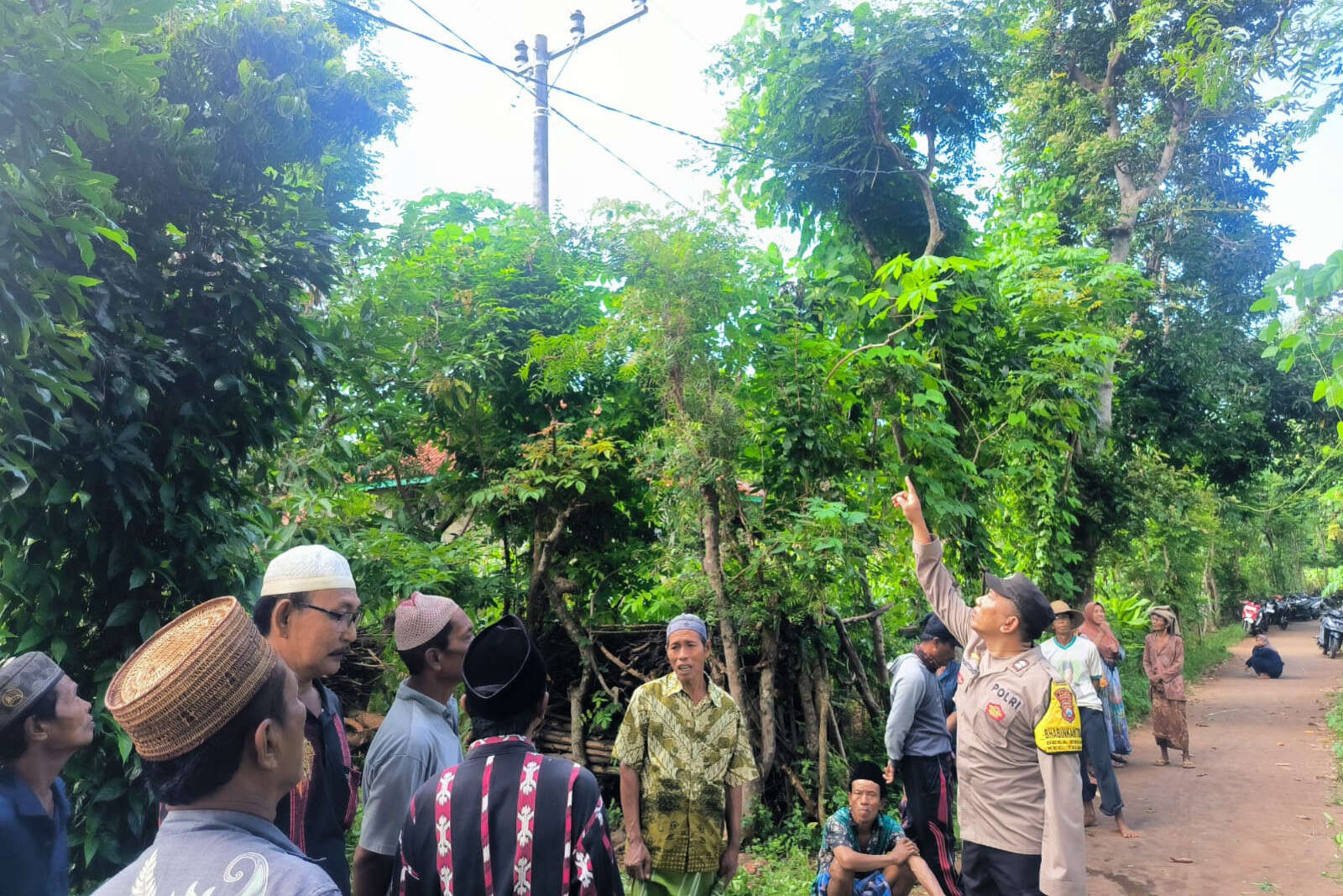 Cari Pakan Ternak di Atas Pohon, Pria di Sumenep Tewas Tersengat Listrik