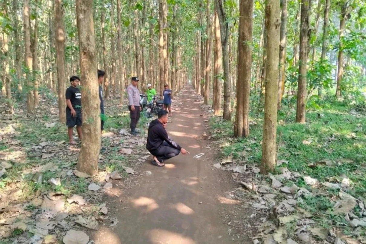 Viral Aksi Begal di Hutan Jati Blitar, Korban Dianiaya dan Motor Dibawa Kabur