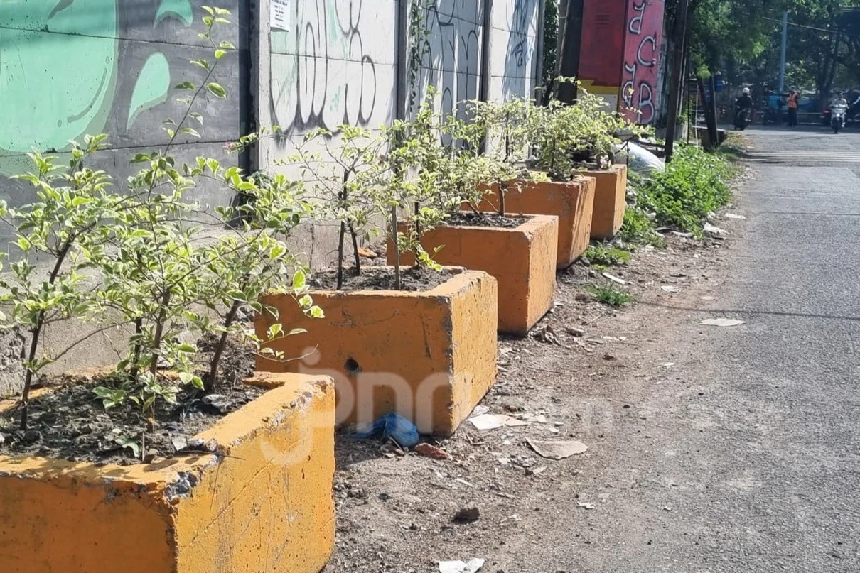 Hapus TPS Liar, Pemkot Surabaya Sulap Titik Buang Sampah Jadi Taman Mini