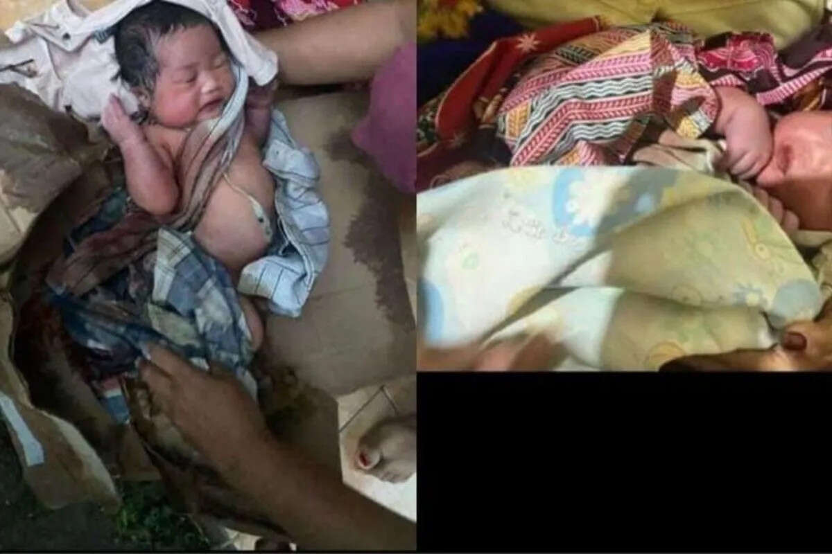 Geger Penemuan Bayi dalam Kardus di Perkebunan Trenggalek, Tali Pusar Melekat