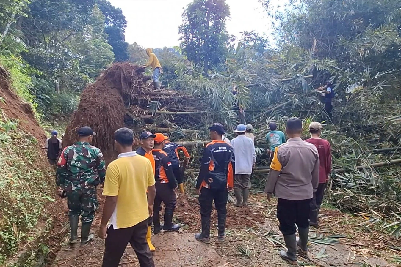 Longsor Menerjang Kabupaten Madiun, 40 KK Terisolasi