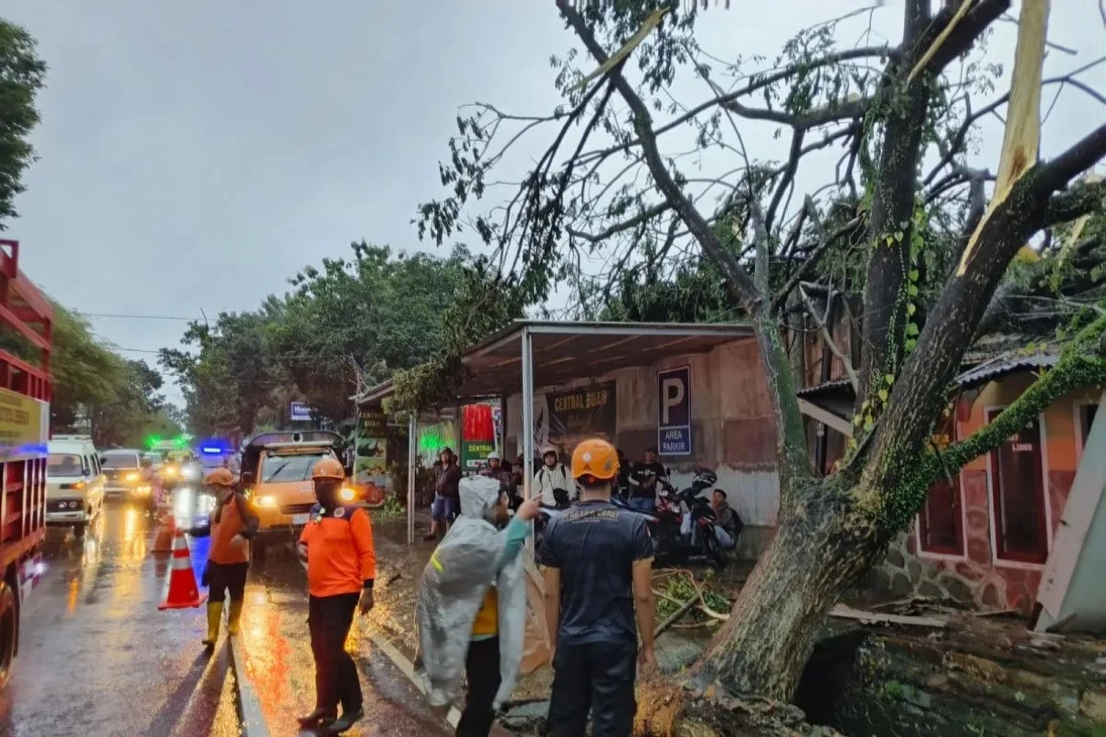 Kantor Koramil Hingga Rumah di Jember Rusak Akibat Angin Kencang & Tertimpa Pohon