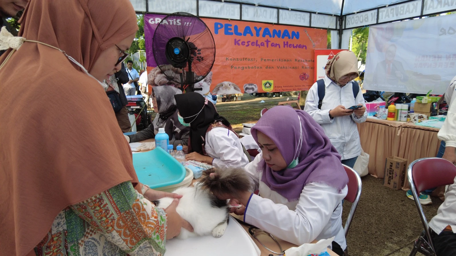 Pemkab Purwakarta Buka Layanan Vaksinasi Rabies Gratis, Jadwal Lengkapnya Cek Di Sini!