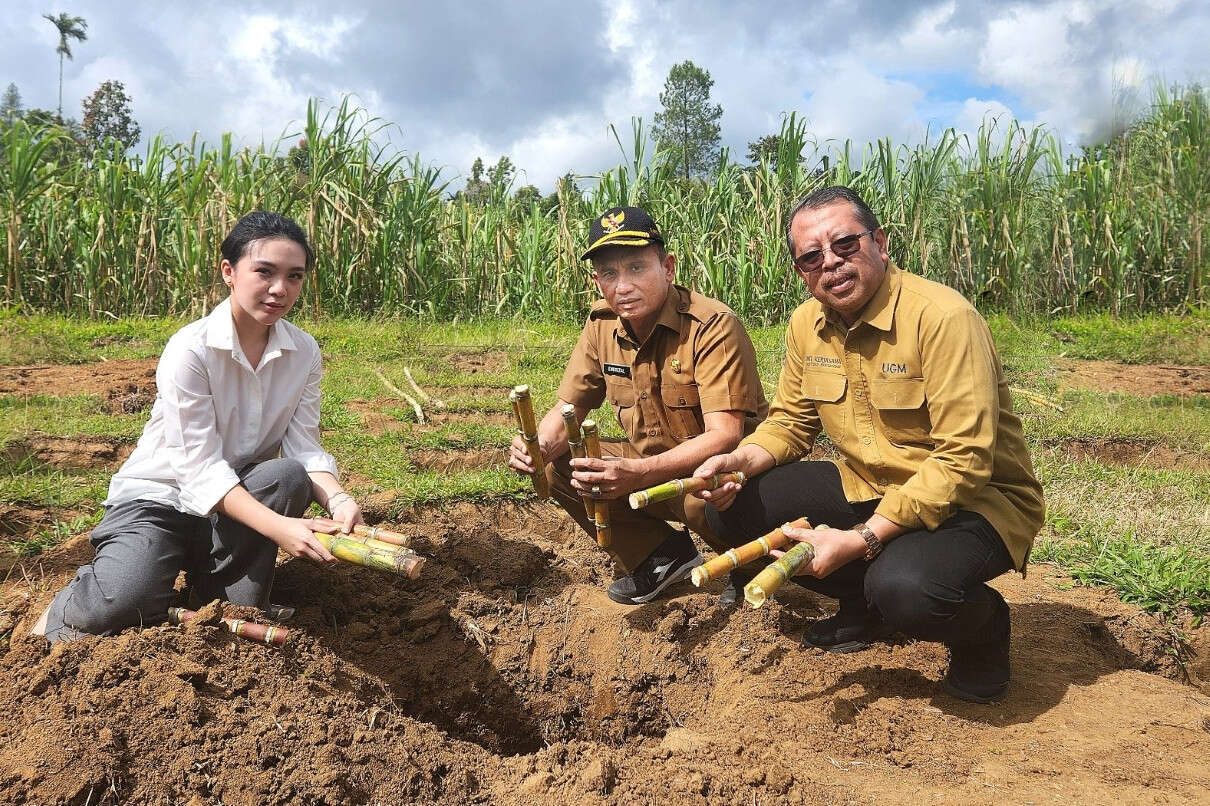 Koperasi Kana dan UGM Beri Penyuluhan Teknik Ringpit Petani Tebu